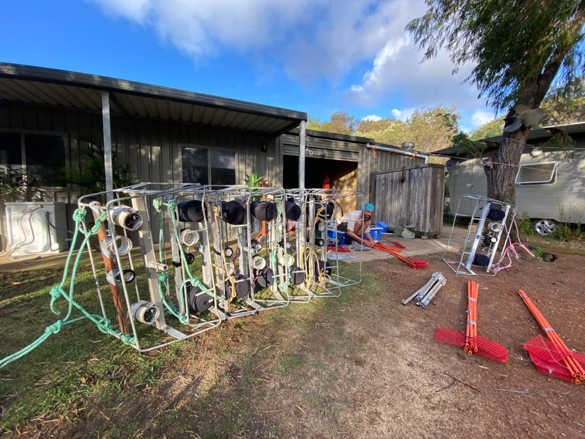 Tim Langlois tweet media