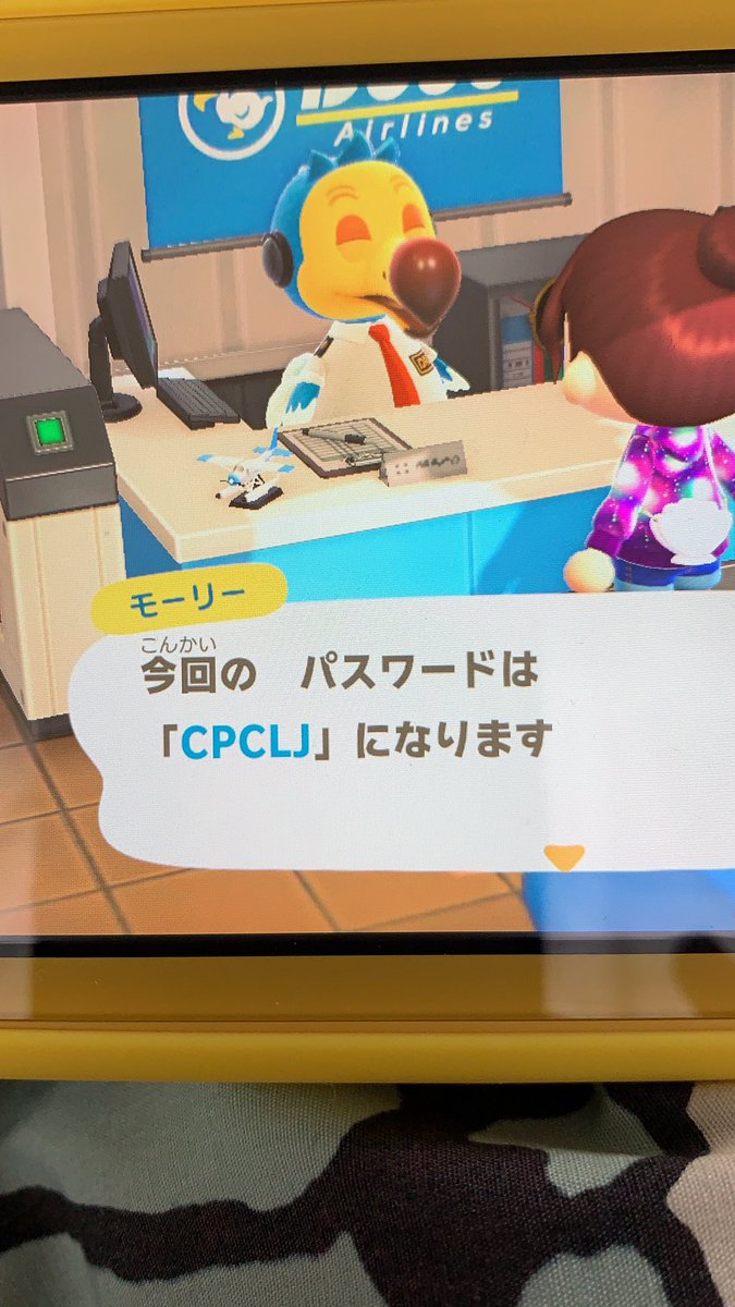 こんぺいとう tweet media