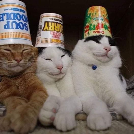 Artibuff tweet media