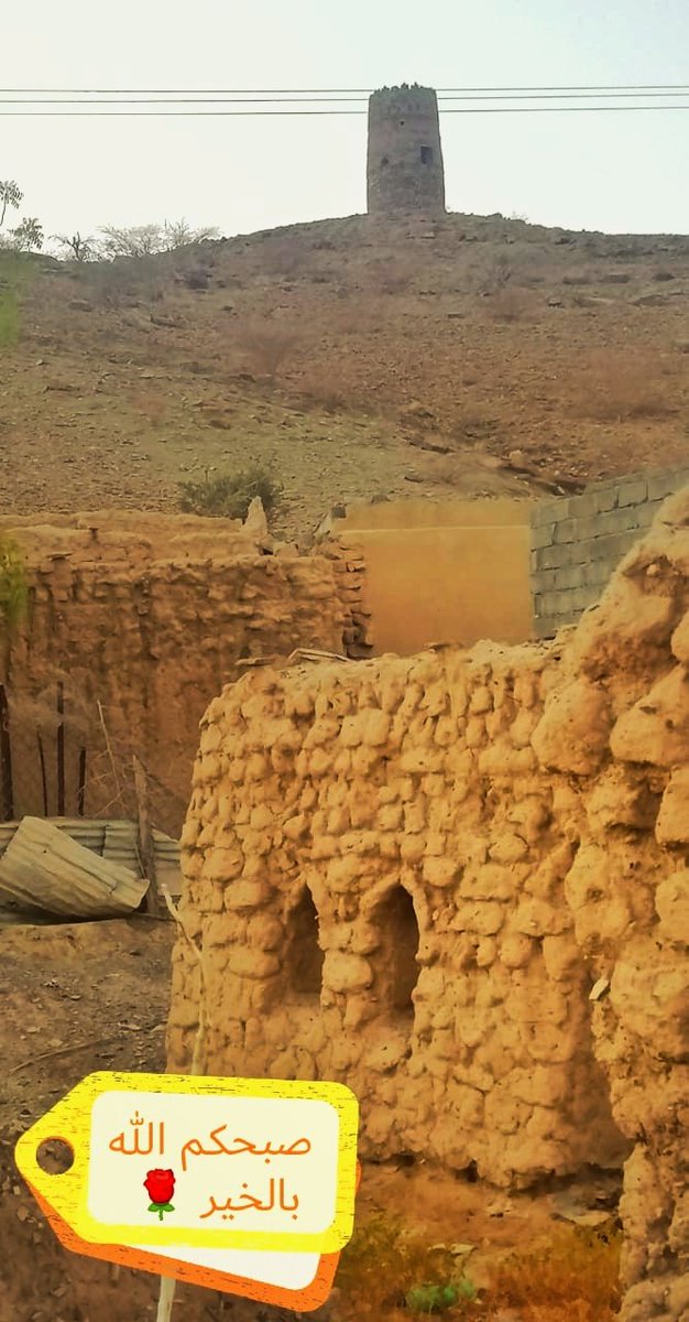 اللَّھمَّ..♡
إنّا نسألُگ صباحًا يتجلّى فِيہُ
لطفگ ويتسع فِيہ رزقگ وتمتدُ فِيہ
عافيتُگ ونستفِتح فِيہ برحمتِگ ..

           *صباح الخير* #الصرم #الصرم_ترتقي #الصباح