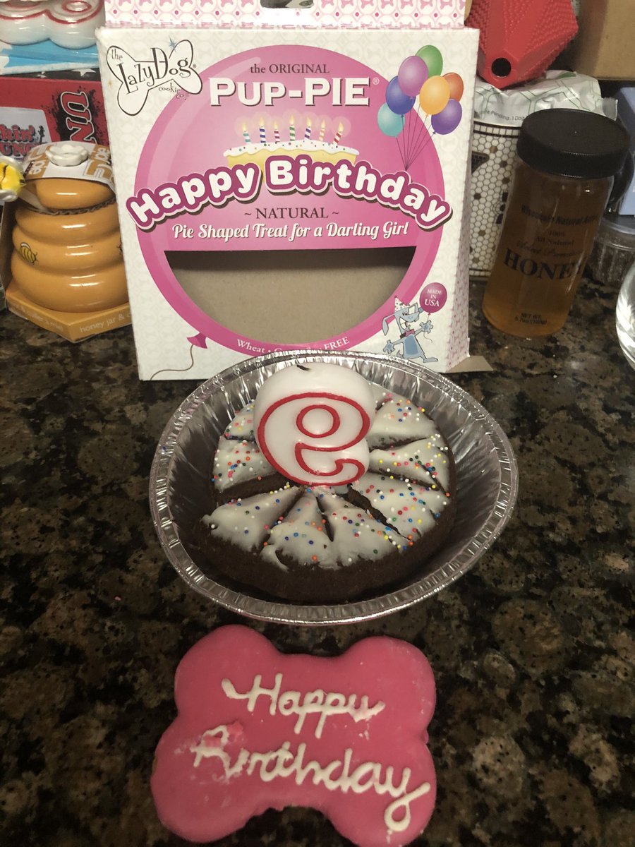 My Grandoggie Sady 9th birthday 🎂🐕