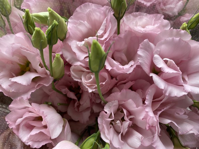 一般 高画質 のtwitterイラスト検索結果 古い順