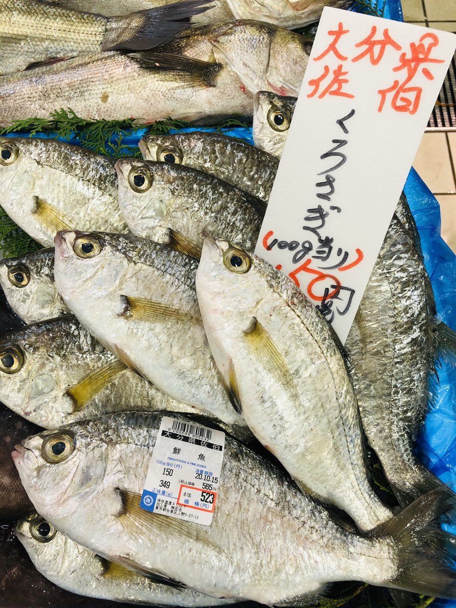 紺野すしき うおまじか 身はほぼイシモチだったし 値段も同じくらいやなw 紺野すしき うおまじか 身はほぼイシモチだったし 値段も同じくらいやなw