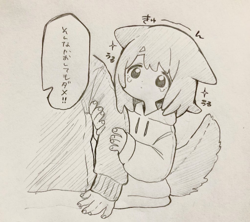 色んな人に好きになってもらいたいので、今日のわんこまとめ? 