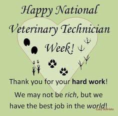 Age471's tweet photo. #lovewhatyoudo #vettech #Passion https://t.co/CknoQxOl8X