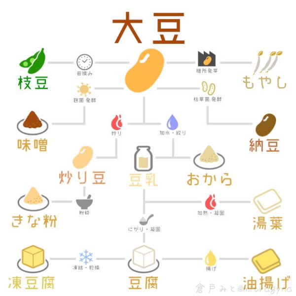豆知識を超ざっくりまとめてみた まとめ Togetter 豆知識を超ざっくりまとめてみた まとめ Togetter