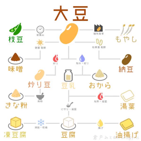 これがほんとの豆知識！大豆がどのような食品に変化するかをまとめたイラスト！