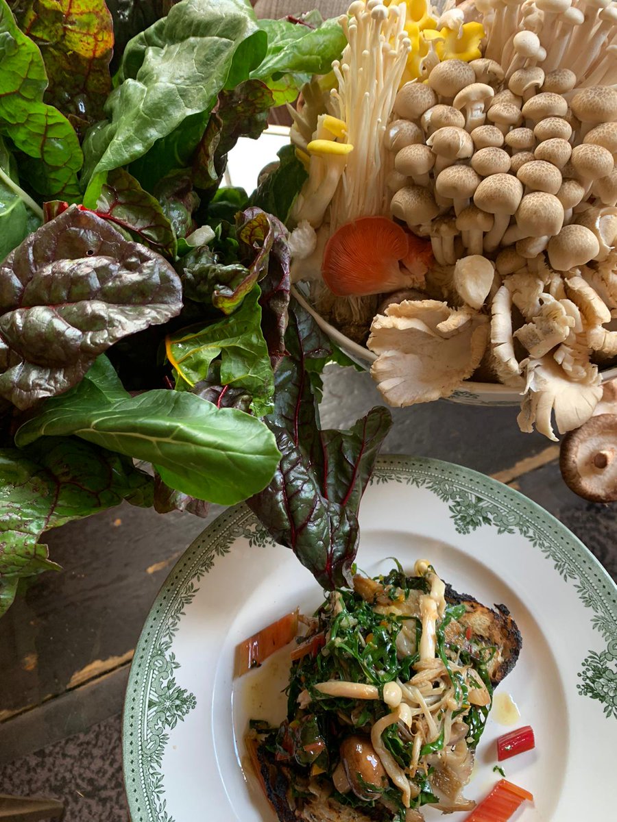 MEMBERS! 

Have you tried our seasonal menu update yet? Our Wild Mushroom &amp; Swiss Chard on Potato &amp; Rosemary Sourdough Bloomer is an A+ lunch for autumnal days. 

Book your visit to try our refreshed menu.