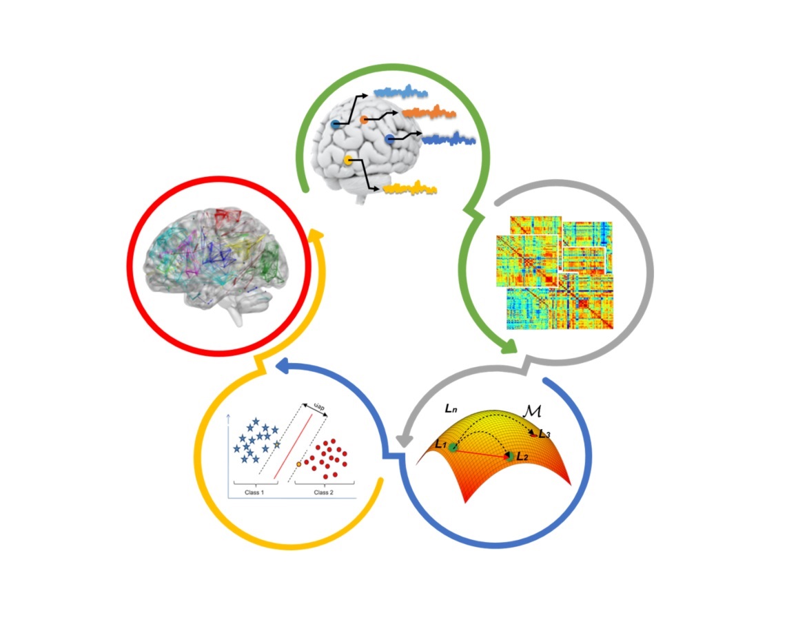 “Encoding Brain Networks Through Geodesic Clustering of Functional Connectivity for Multiple Sclerosis Classification" by <a href="/abubakaryamin/">Abubakar Yamin ッ</a> <a href="/PaolaValsasina/">Paola Valsasina</a> <a href="/brainhiker/">Michael Dayan</a> <a href="/xwasco/">Sebastiano Vascon</a> <a href="/vmurino/">Vittorio Murino</a> <a href="/rocca_mara/">Mara Rocca</a> <a href="/DiegoSona/">Diego Sona</a> in collaboration with <a href="/NRU_SanRaffaele/">@Neuroimaging_Research_Unit_SanRaffaele</a> (FISM grant 2018/R/5)
