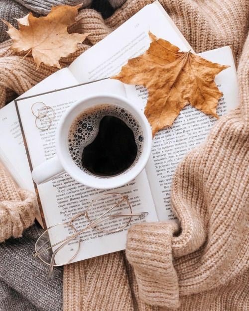 Cathhewat123's tweet photo. Good Morning Everyone..Wish you all an amazing and safe New Week ..Take care 🌺🌺🌺🙏🏼 https://t.co/cogZaclFcE