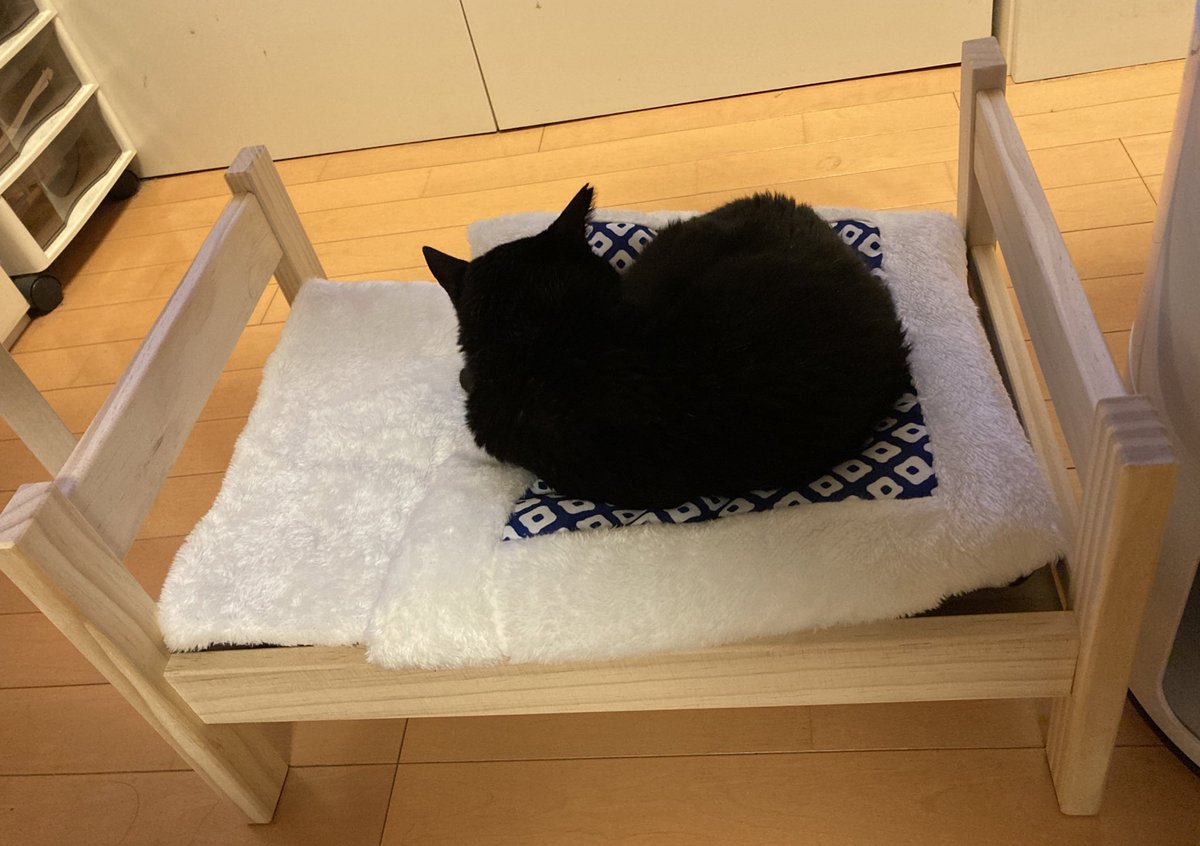 カオリッサ 猫とたまに釣り スリーコインズで ペット用ベッド売ってた 1500 秒でお気に召してなにより 猫ベッド スリコ スリーコインズ 3coins