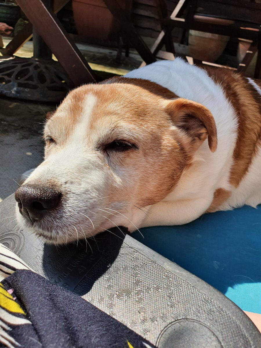 emily♡ tweet media