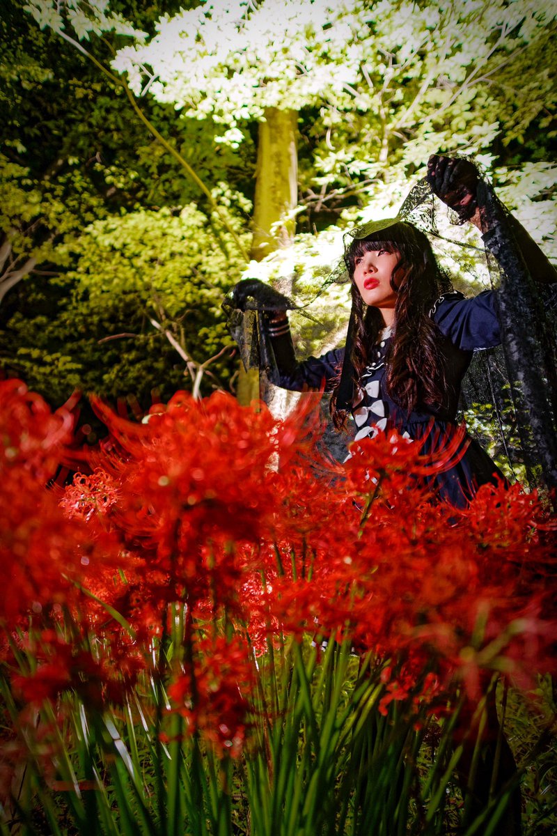.
.
.
独り 見守る 送り人
.
.
.
.
.
#曼珠沙華 #彼岸花
#ポートレート #カメラマンさんと繋がりたい #写真 #写真好きな人と繋がりたい #ポトレの世界 #ファインダーの越しの私の世界 #写真で奏でる私の世界 #PhotoOfTheDay #photo #portrait #1mmでもいいと思ったらRT https://t.co/tlFt0NaEbM