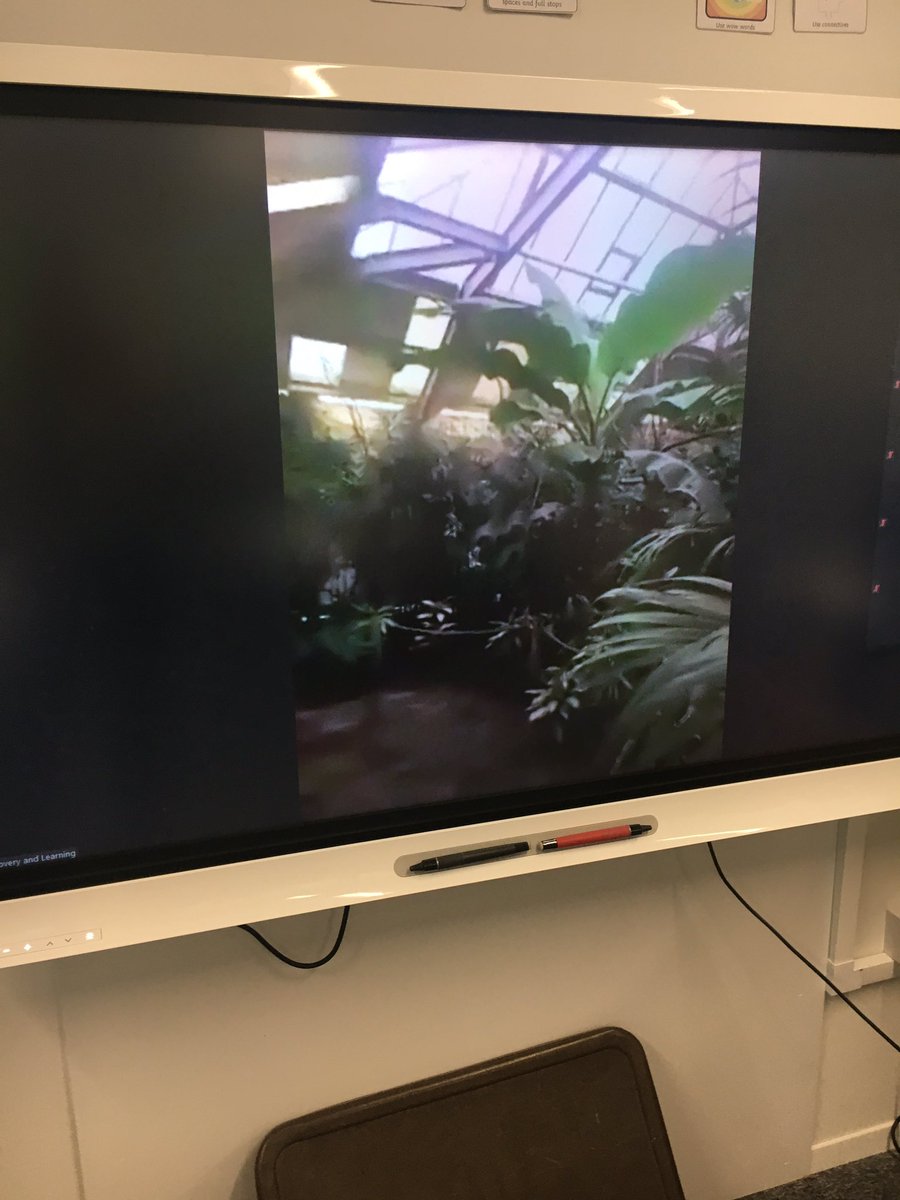 lasswadeps's tweet image. P7O enjoyed the Edinburgh Zoo workshop via Zoom as part of Midlothian Science Festival #msfschools2020. We loved seeing some of the animals in the zoo and learning more about them throughout the quiz! @EdinburghZoo 
@mideduteam @MidlothSciFest