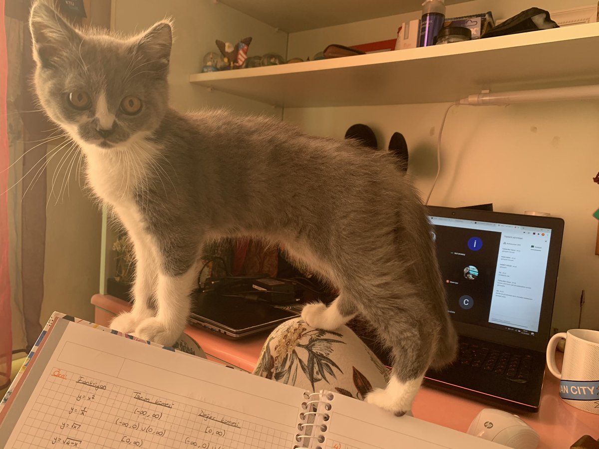 Bizim online dersler başladı GÜ NAY DIN 💗#Sucuk