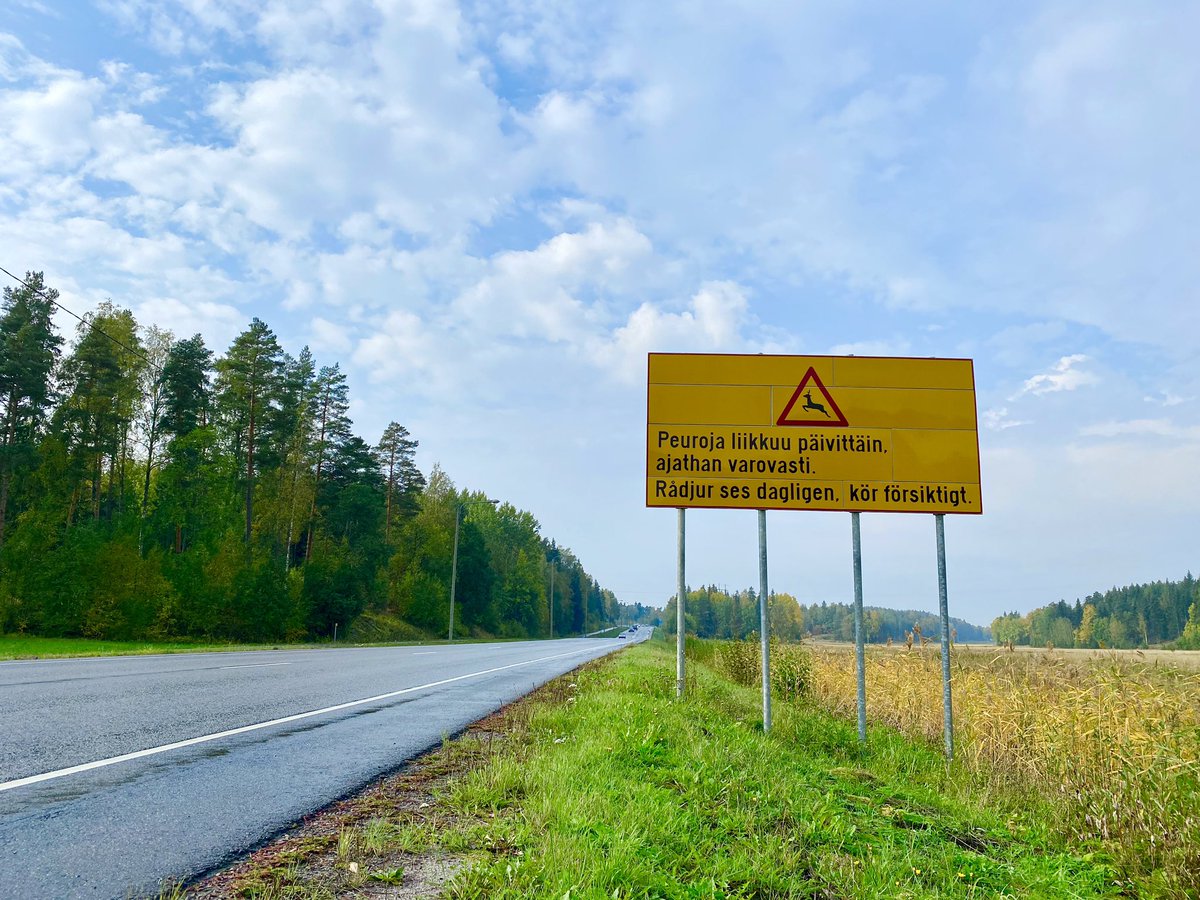 LahiTapiola_VS's tweet photo. Juuri tässä on Kaarinan vaarallisin tieosuus, jos 🦌-kolaripaikoista puhutaan. Tämän Paraisille menevän tien lisäksi Varsinais-Suomessa kannattaa olla erityisen tarkkana Pöytyällä ja Naantalin Luonnonmaalla! 👀

#turvallisuus #liikenneturva #elämänturva #lähitapiola https://t.co/ef4f1SmsUg