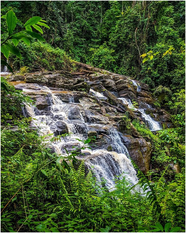 Amani Nature Forest Reserve is one of the oldest Botanical gardens in Africa with more than 1000 plant species from all over the globe.
#climbingkilimanjaro #amaninature #beautiful #photography #amazingview #beautyofnature #naturalpark #kilimanjaroclimbing #spoonbilltour https://t.co/GgXgjcka4W