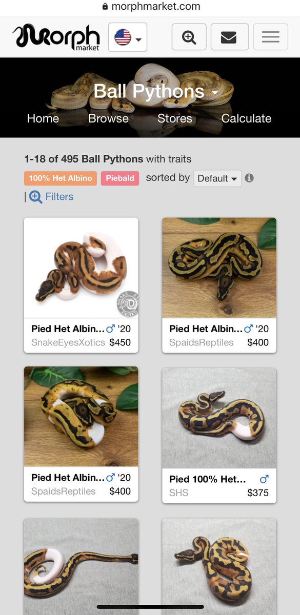 Deu Reptiles Al Twitter モルフマーケット というのは爬虫類を愛する人たちのためのサービスです 出来る事は大きく分けて２つ 爬虫類を売りたい人と買いたい人を繋ぐ モルフの計算をしてくれる です Twitter