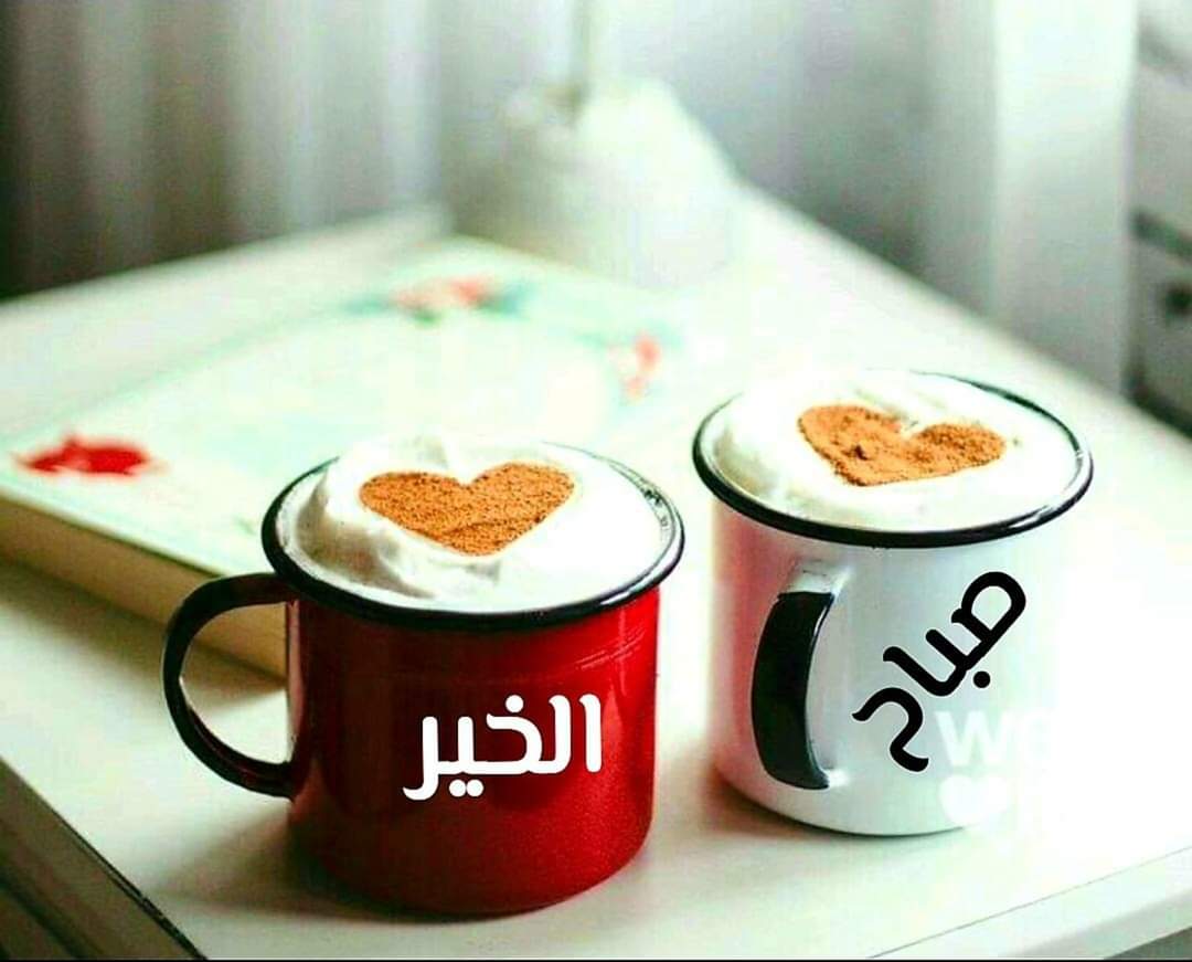 حسين عطالله المحامي (@husseinmosa79g1) on Twitter photo 