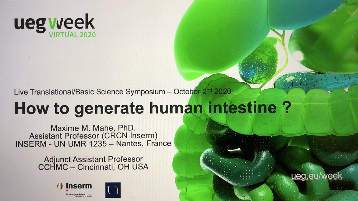 MaximeMMahe's tweet photo. Thank you @my_ueg for giving me the opportunity to present our work in gut tissue engineering with an ENS !

Many many thanks for the Rising star award @my_ueg @esnm_eu #GFNG https://t.co/yrEltXZ7lI