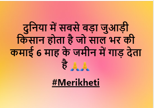 merikhetiindia's tweet photo. #farmers #farming #framlife #agriculture #agriculturelife #atmanirbharbharat #atmanirbharkrishi #kheti #merikheti #mondaythoughts @nstomar @spshahibjp @KailashBaytu @PRupala https://t.co/4w0aadMRfa