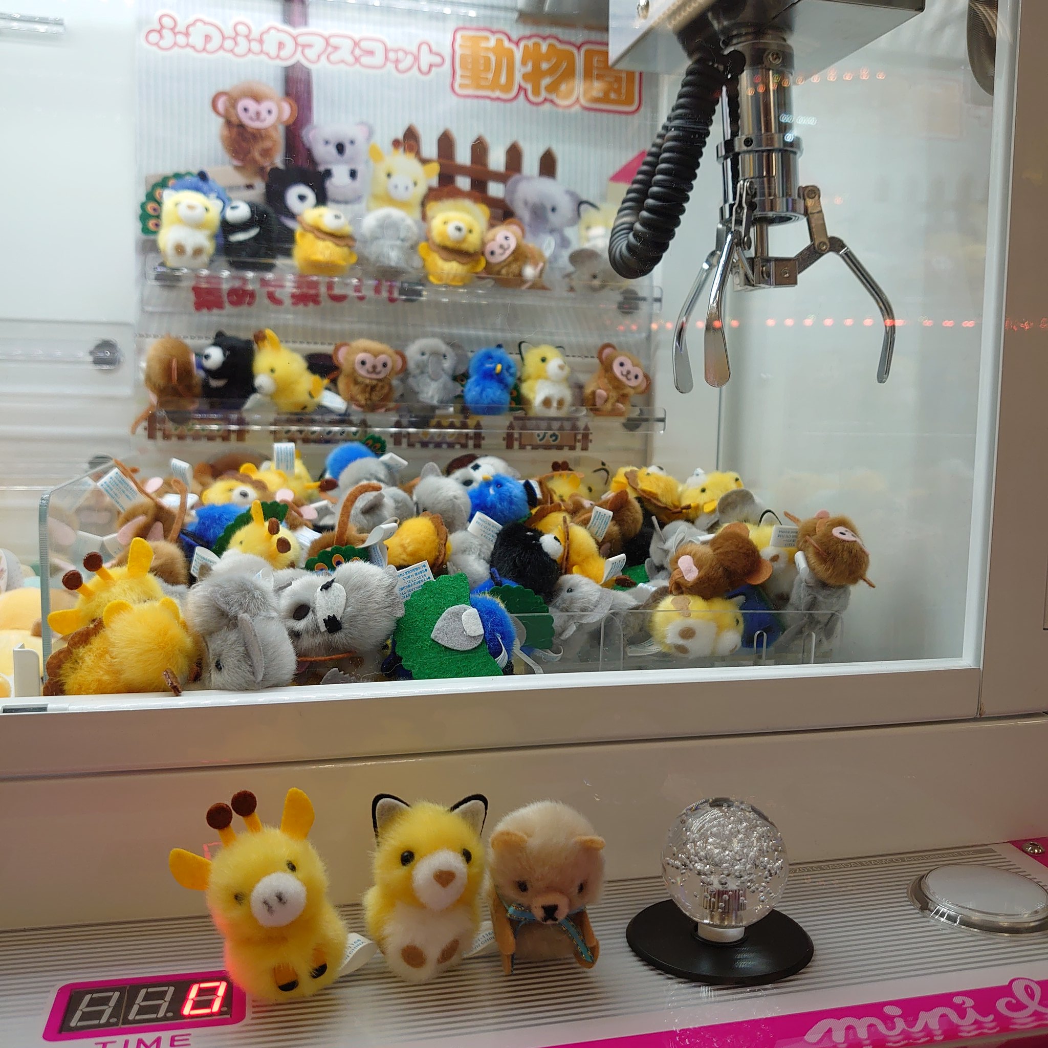 ノエル工房 久々にクレーンゲーム きつねさんゲット ๑ ㅂ و ふわふわマスコット 動物園 ふわふわマスコット動物園 きつね キリン 一番右は なまけもの だろうか 手が長くて クマ顔 う ん きつねさんは 前のより目が大きくなって ノエル工房 久々にクレーンゲーム きつねさんゲット ๑ ㅂ و ふわふわマスコット 動物園 ふわふわマスコット動物園 きつね キリン 一番右は なまけもの だろうか 手が長くて クマ顔 う ん きつねさんは 前のより目が大きくなって