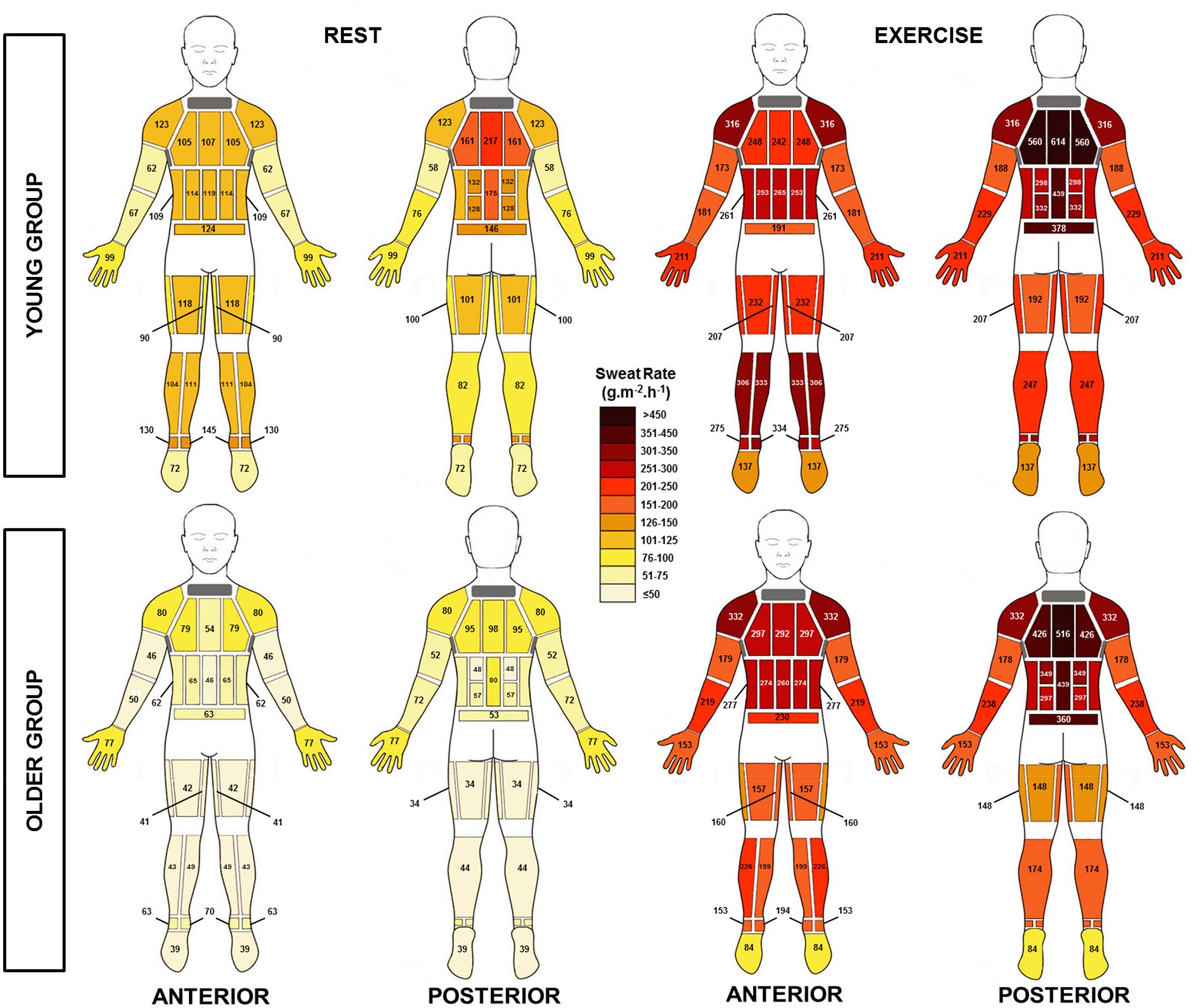 European Journal of Applied Physiology on Twitter "Body mapping of