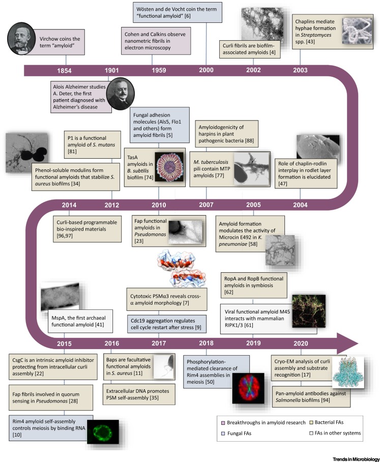 Akos T. Kovacs tweet media