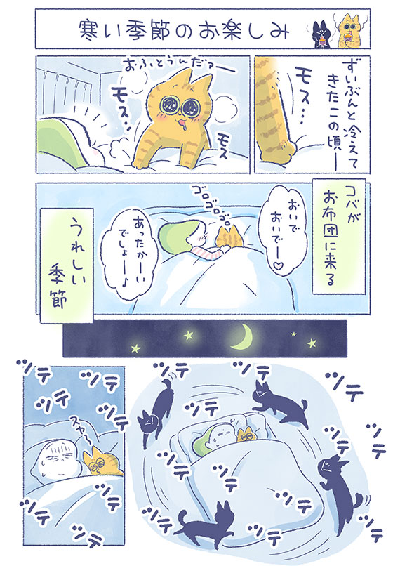 「寒い季節のお楽しみ」

まだコバのように甘えることは、ムリなむぅちゃん。でもお布団はすごく気になっているようです(*'∀`*)

(吉濱あさこさんの「イチャ猫」)更新!つづきはコチラ⇒https://t.co/3HZkTJ5zHP

#イチャ猫 