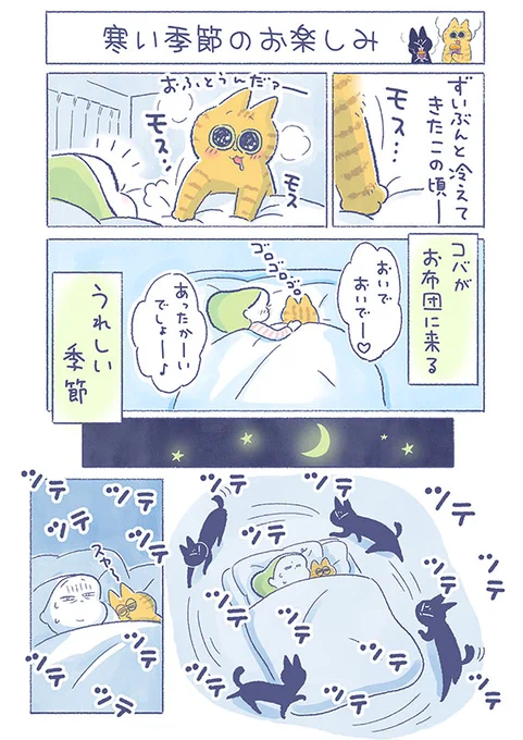 「寒い季節のお楽しみ」

まだコバのように甘えることは、ムリなむぅちゃん。でもお布団はすごく気になっているようです(*'∀`*)

(吉濱あさこさんの「イチャ猫」)更新!つづきはコチラ⇒https://t.co/3HZkTJ5zHP

#イチャ猫 