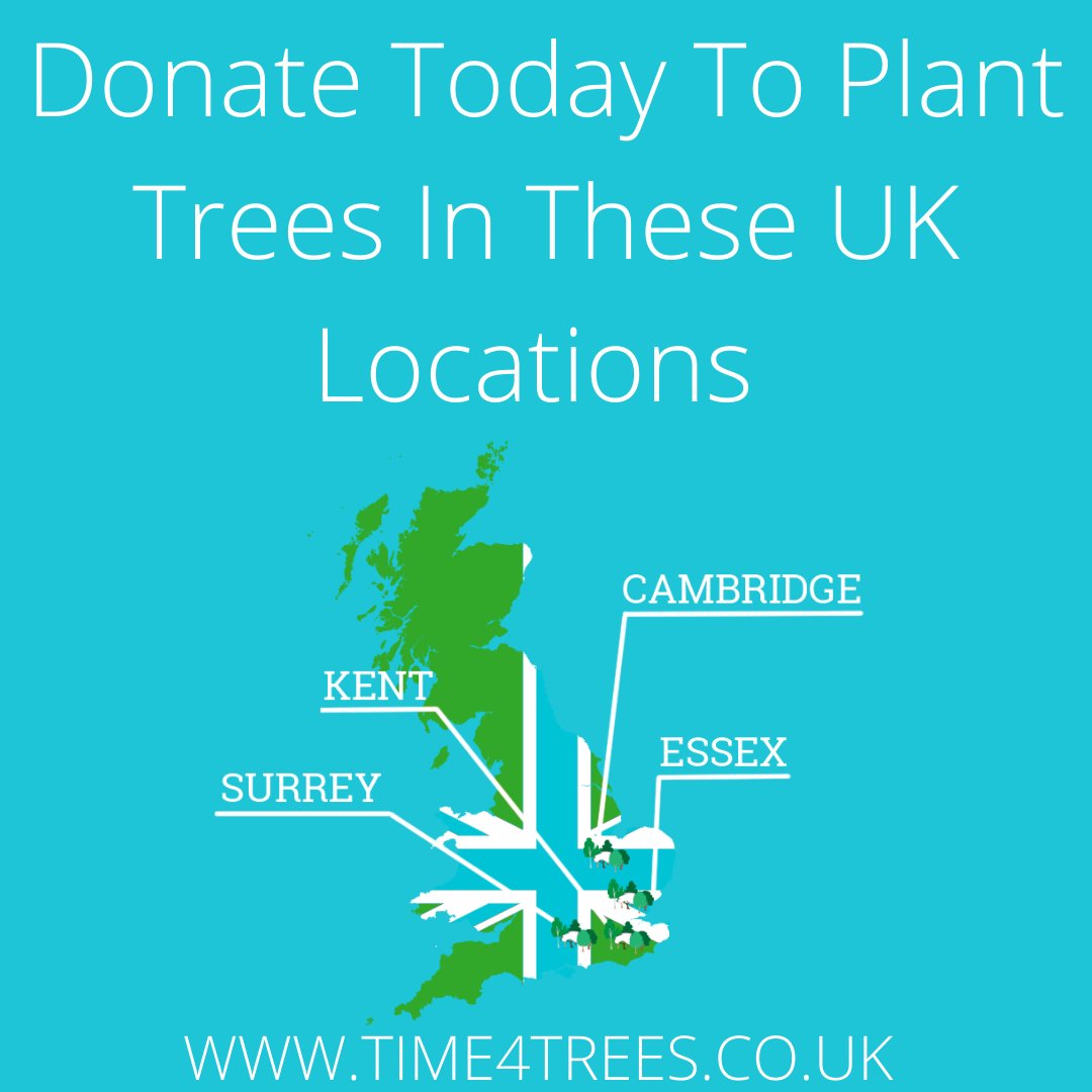 Time4Trees_'s tweet photo. Like no other company we plant trees in 4 different locations in the South East of the UK where the carbon emissions are the worst! 
-
Donate today to fund a new biodiverse woodland and receive certification for your donation! https://t.co/U0tPOMXu9f