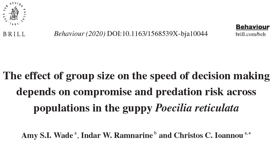 C_C_Ioannou's tweet photo. New paper on the social behaviour of the mighty guppy!

The effect of group size decision making depends on compromise and predation risk in the guppy Poecilia reticulata.

with @dogsciencesays and Indar Ramnarine
@NERCscience
#collectivebehaviour #fishsci @BehavEcolPapers https://t.co/otXLMYSSyC