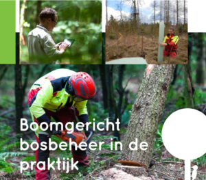 projecteco2eco's tweet photo. Als afronding van #projecteco2eco hebben we alle bevindingen vertaald naar 2 handleidingen met verworven inzichten en handvatten voor slim, innovatief en succesvol #boomgerichtbosbeheer, waarbij economie en #ecologie in het #bos hand in hand gaan. Kijk op https://t.co/HkNQLRNAHV https://t.co/XRfLWeInKM