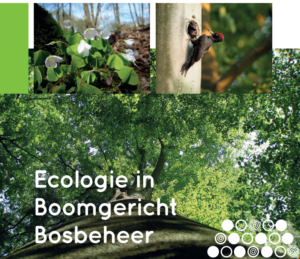 Als afronding van #projecteco2eco hebben we alle bevindingen vertaald naar 2 handleidingen met verworven inzichten en handvatten voor slim, innovatief en succesvol #boomgerichtbosbeheer, waarbij economie en #ecologie in het #bos hand in hand gaan. Kijk op bit.ly/30UmR6A