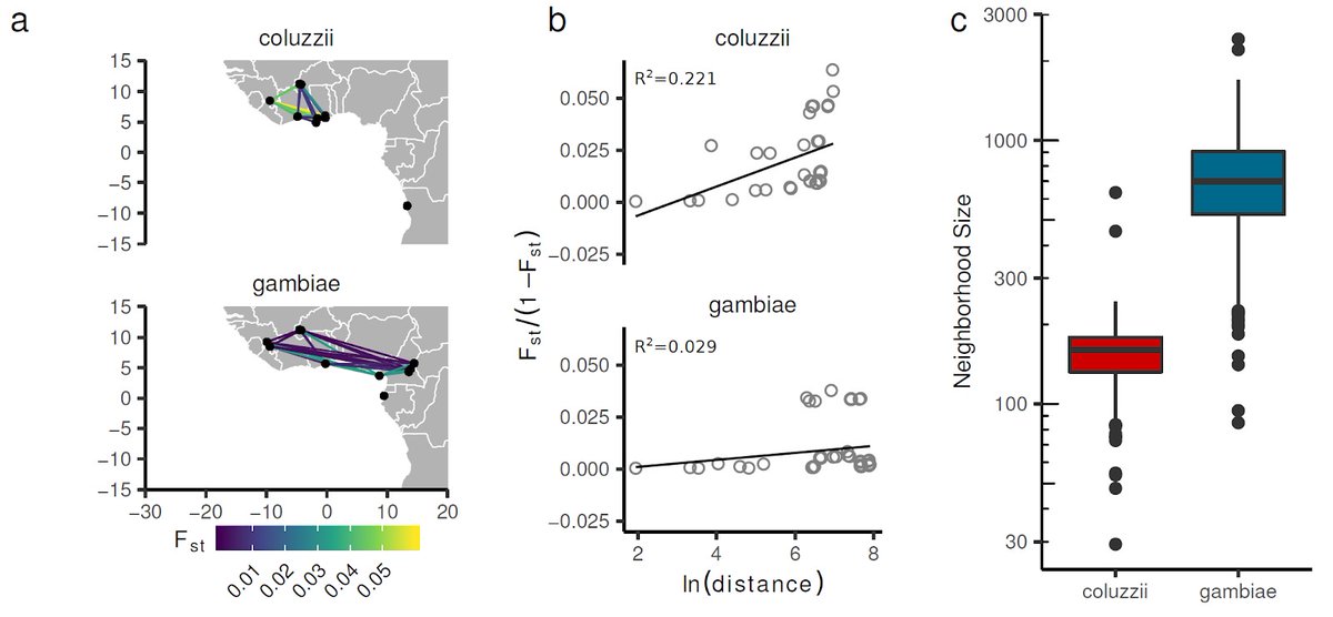 We studied two mosquito species, An. gambiae and An. coluzzii. Still so many unanswered questions about how these malaria vector species are different from each other. But we did find evidence for differences in gene flow and migration behaviour. Much more work needed...