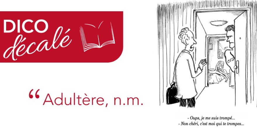 NolwennLEROUX's tweet photo. 📕 Droit de la Famille [ LE DICO DÉCALÉ ] Adultère, n.m.
Histoire : En droit français, l’adultère est une histoire en soi !
Juridique : L’adultère, s’il est encore un motif de divorce pour faute, est passé de faute péremptoire à simple faute ! 
https://t.co/DO7hwav4ND https://t.co/4Jqb9tGJsY