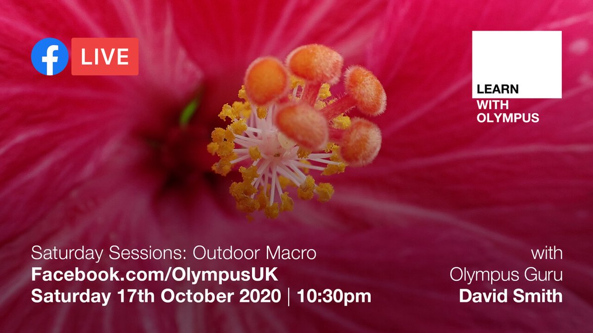 OlympusUK's tweet image. Don't forget that our next round of online events and webinars will be going live this morning at 11am on Image Space – grab your diary and hop over to get ready to book! olympus-imagespace.co.uk/whats-on/ #OlympusUK