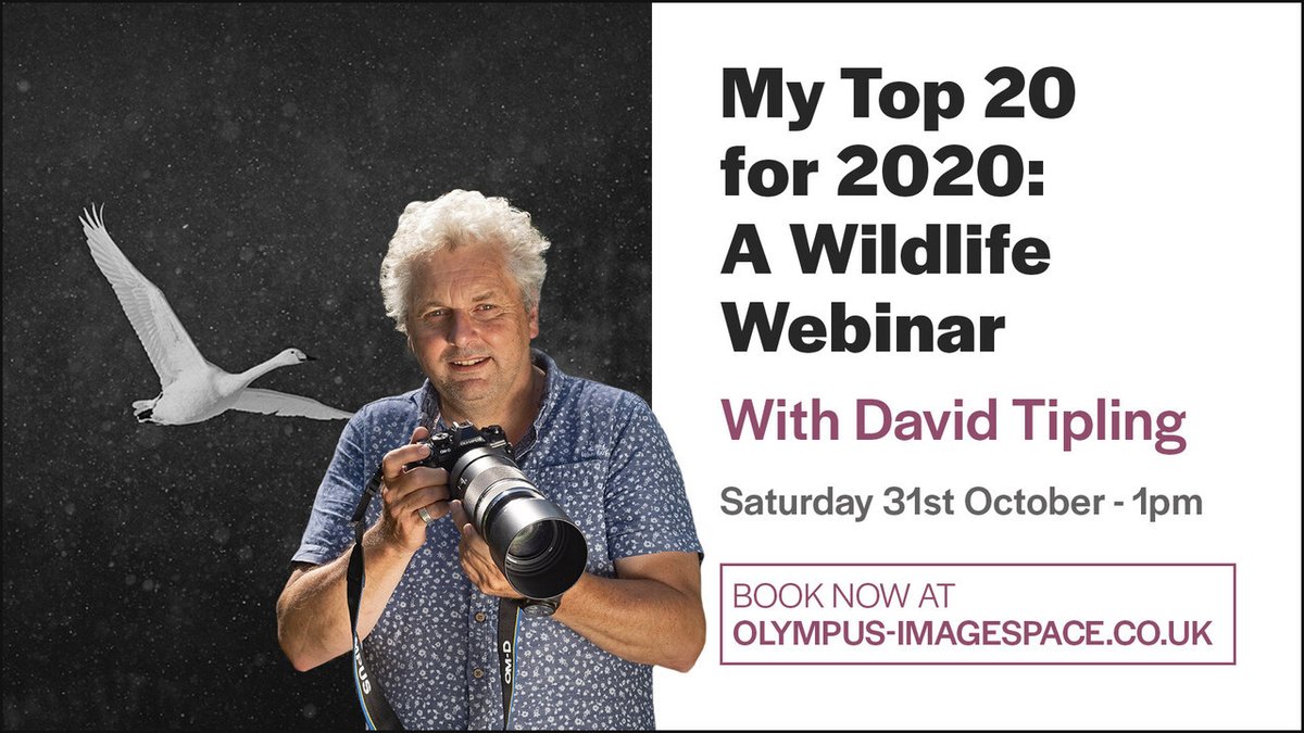 OlympusUK's tweet image. Don't forget that our next round of online events and webinars will be going live this morning at 11am on Image Space – grab your diary and hop over to get ready to book! olympus-imagespace.co.uk/whats-on/ #OlympusUK
