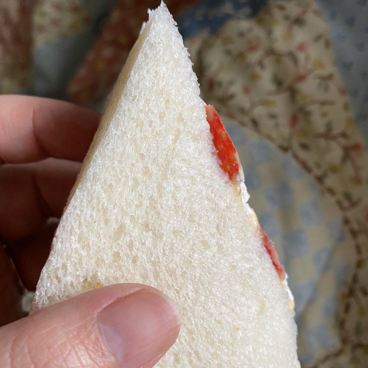 セブンイレブン上総一宮店 話題になってニュースサイトで取り上げられてたサンドイッチを仕入れてみました ハリボテでした セコくてごめんなさい Togetter