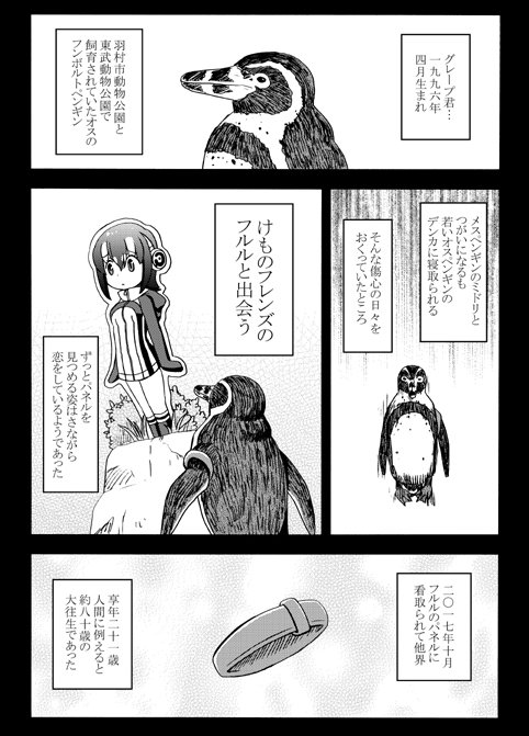 10月12日はフンボルトペンギン🐧のグレープ君🍇がジャパリパークへ旅立った日。これからも忘れないよ。
#東武動物公園 