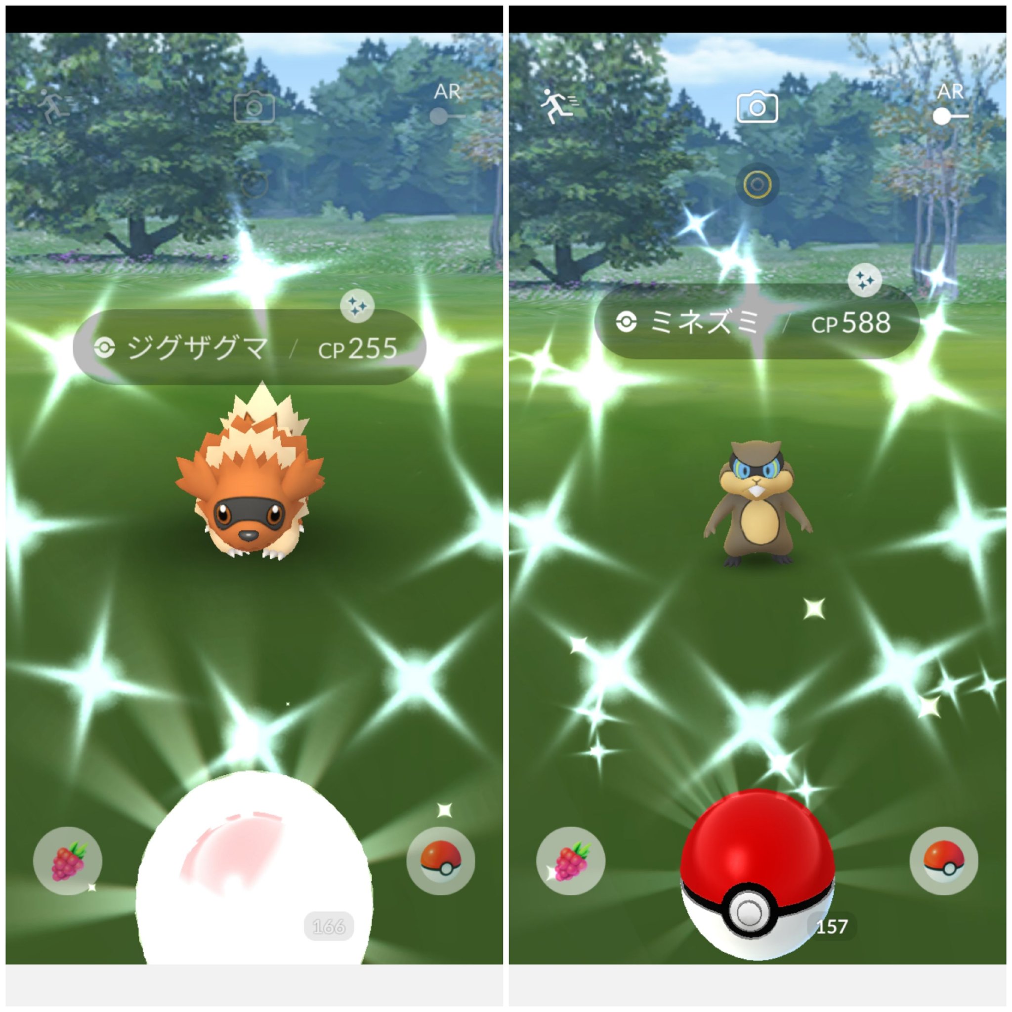 تويتر Amazinghisa على تويتر 今日のポケモンgo活動 ジグザグマとミネズミが光った 色違いの総数が550になりました レイドはギラティナ 捕獲しましたが かなり苦戦しました シキジカをメブキジカに進化 ポケモンgo ジグザグマ ミネズミ 色