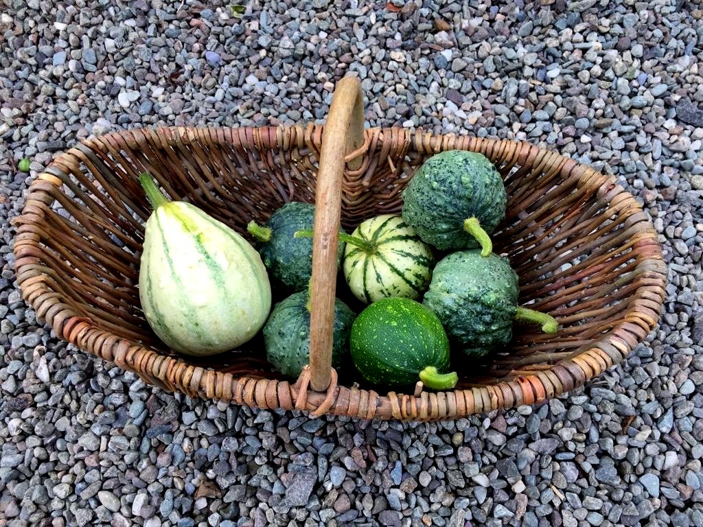 ICMI The Collection tweet media