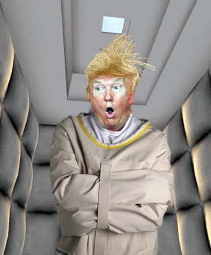 Mr_JSheffield's tweet photo. @realDonaldTrump @NateSilver538 #DeludedDonald 😂 https://t.co/AyeztuT1Xb