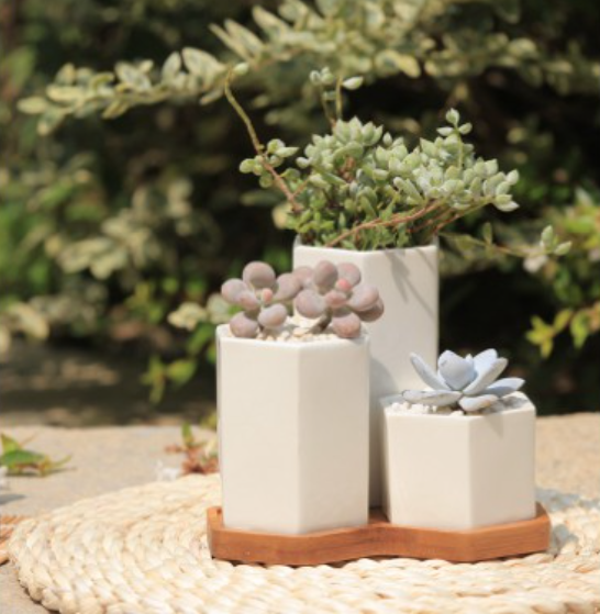 tritolshopmurah's tweet photo. Rekomendasi Toko Shopee Jual Pot Bunga Keramik Modern Minimalis!

Start from 18rb, ada yg Free Ongkir dan Promo 11.11!

A TRHEAD https://t.co/TdoiZ8RjJl