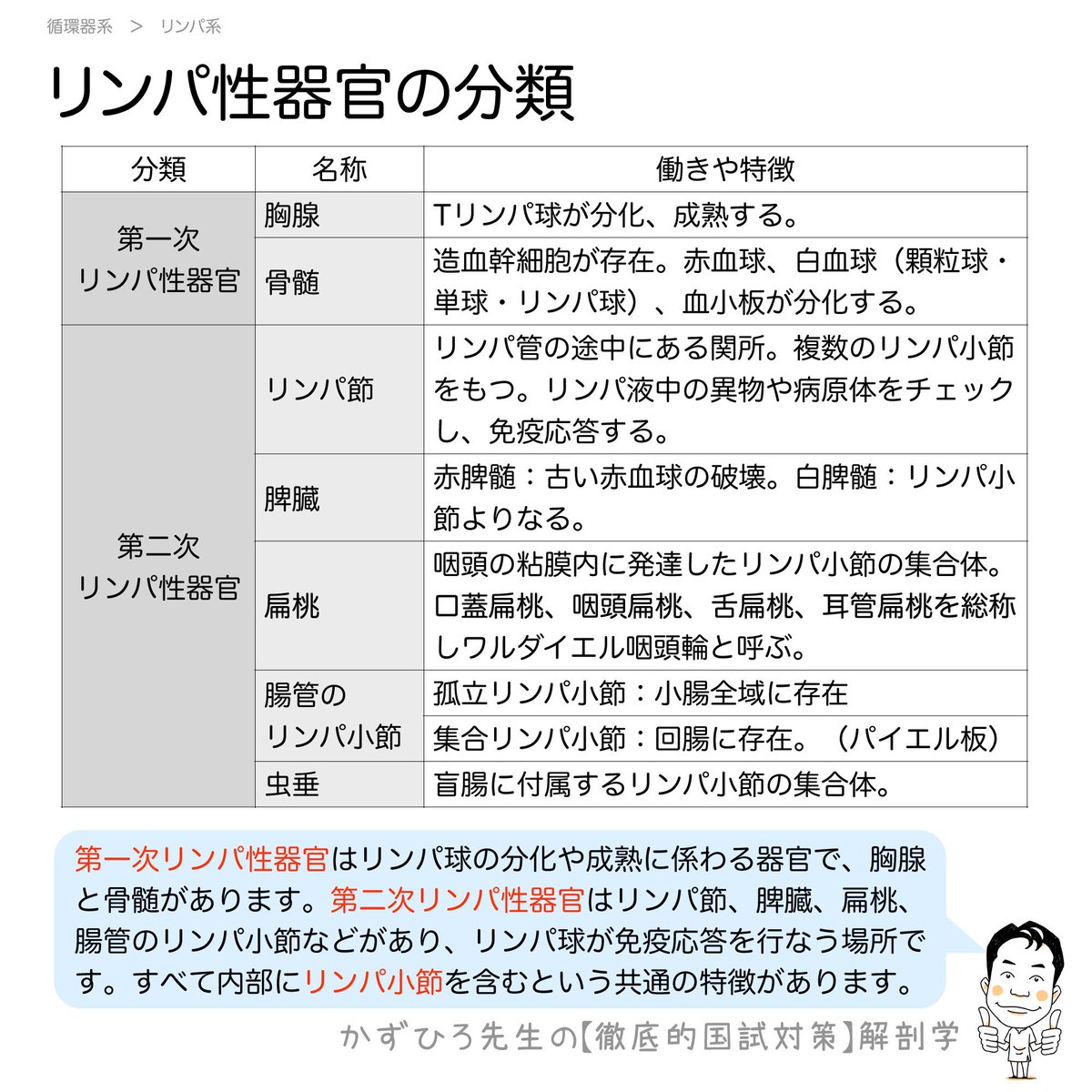リンパ性器官の分類】 第一次リンパ性器官はリンパ球の分化や成熟に