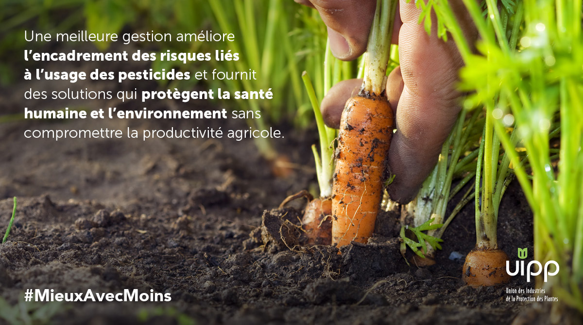 sieclevert's tweet image. La protection intégrée des cultures fournit aux agriculteurs des outils et des stratégies pour les aider à maximiser durablement la production tout en protégeant la biodiversité #MieuxAvecMoins #MoreWithLess