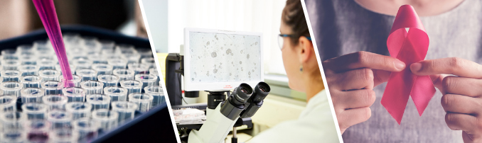 We have a range of patient derived breast cancer organoids coming soon. Find out more - bit.ly/34RYPKF