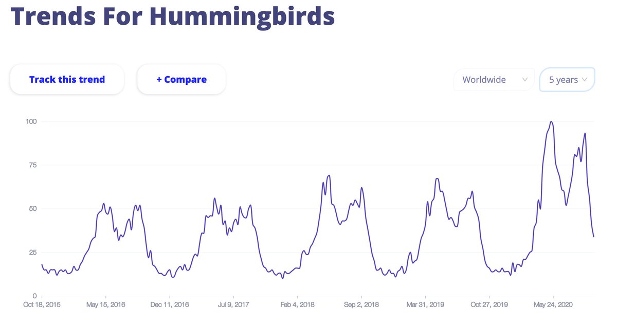 trendsew's tweet photo. Trend of the day - #birdwatching. Why this hobby became so popular in 2020? https://t.co/jsX3PSwb3k