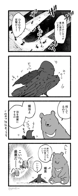 アリさん受難の日(クマとカラス) 