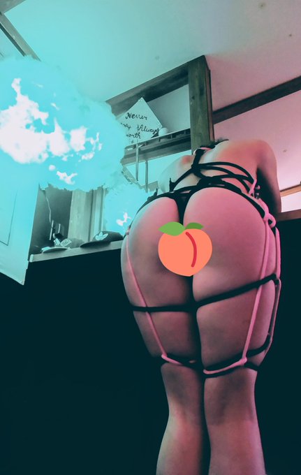 🪢Shibari Princess🪢's pics and videos - EkHnY3CWsAEkfB4 jpg:small image 29